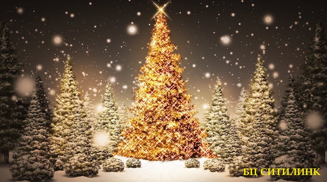 С Новым годом!