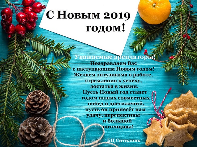 С Наступающим Новым 2019 годом!